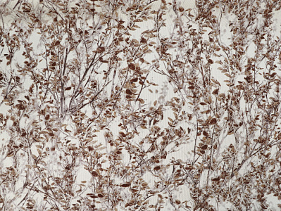 Обои Elysium Серия Вереск Е18804